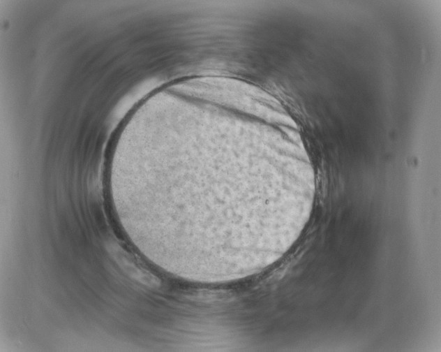 X0000086090292200704202223