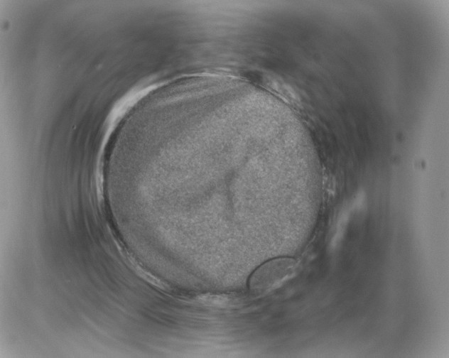 X0000086090294200704202223