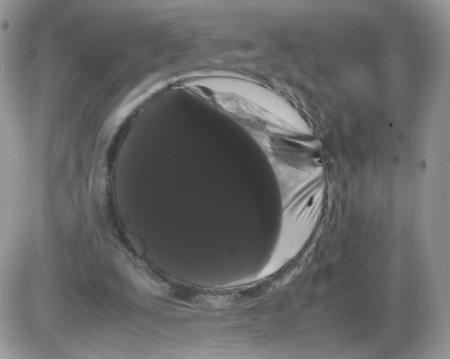 X0000086090295200704202223