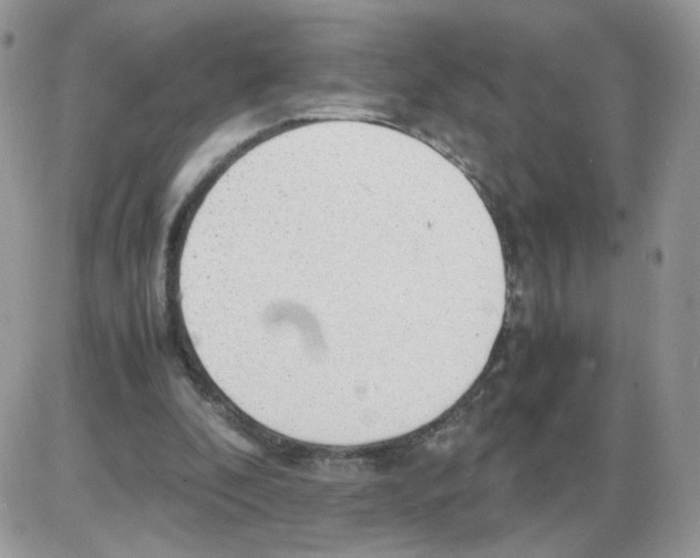 X0000086090296200704202223