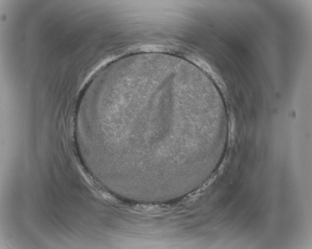 X0000086090297200704202223