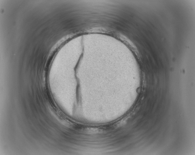 X0000086090298200704202223