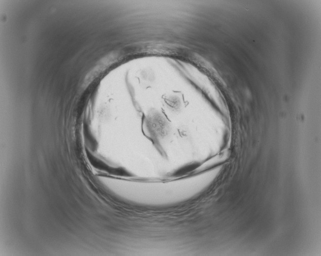 X0000086090299200704202223