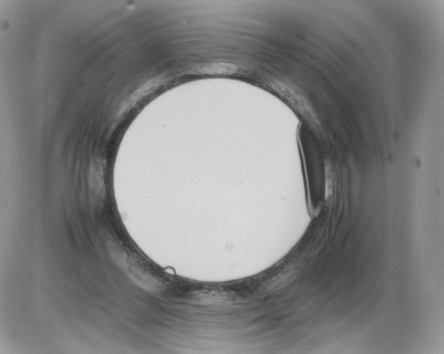 X0000086090300200704202223