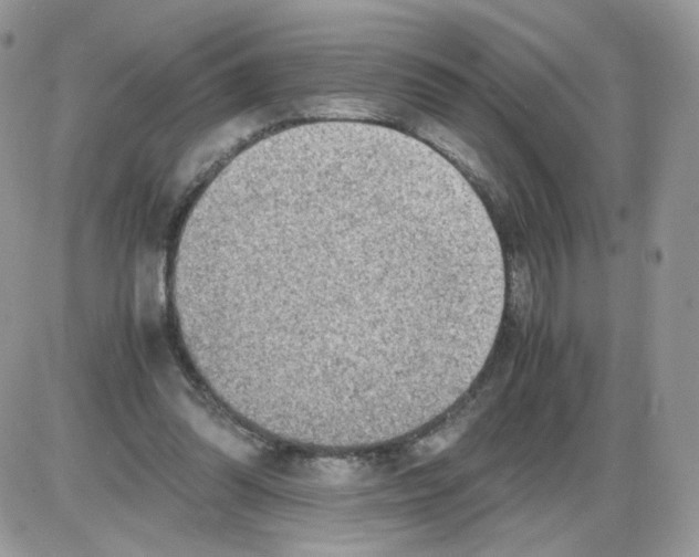 X0000086090302200704202223