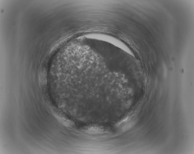 X0000086090303200704202223