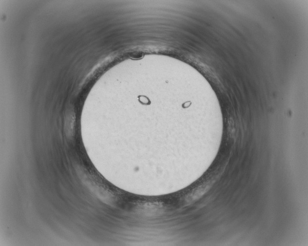 X0000086090304200704202223