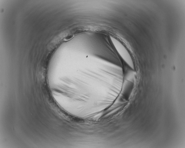 X0000086090305200704202223