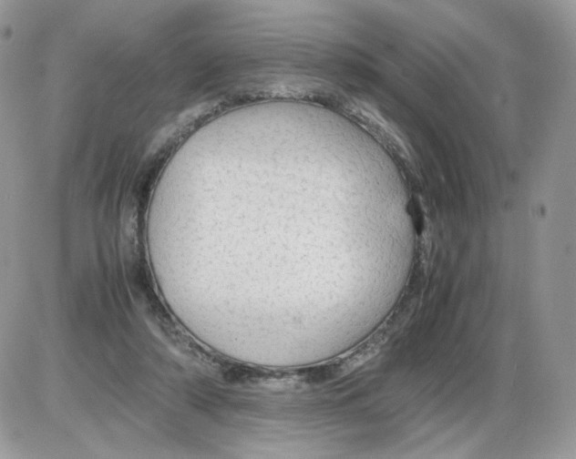 X0000086090306200704202223