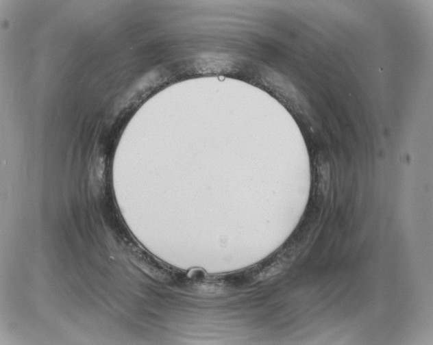 X0000086090308200704202223