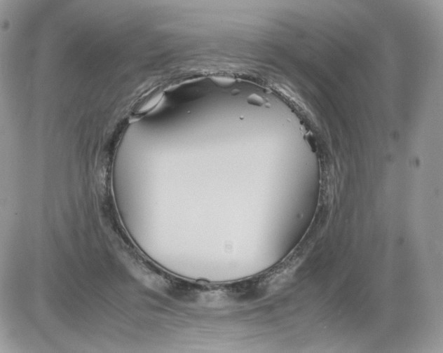 X0000086090309200704202223