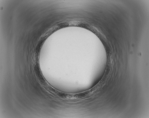 X0000086090311200704202223