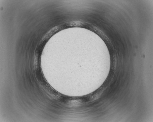 X0000086090312200704202223