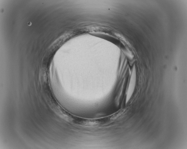 X0000086090313200704202222