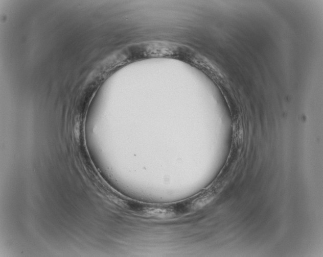 X0000086090315200704202222