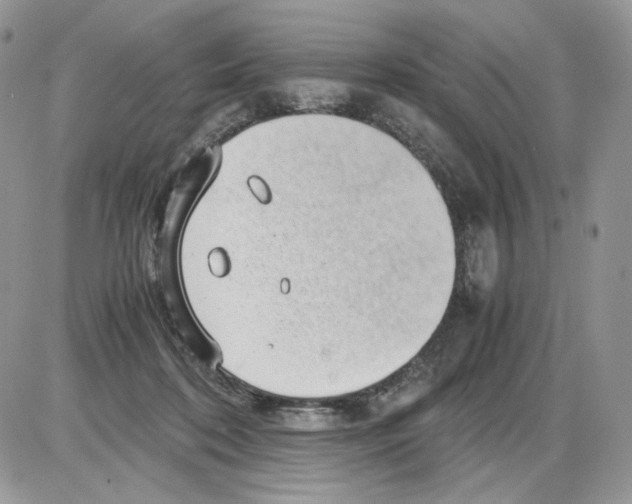 X0000086090316200704202222