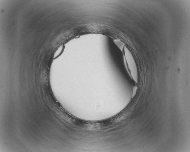 X0000086090317200704202222