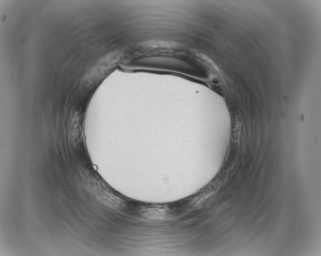 X0000086090318200704202222