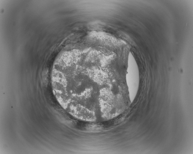 X0000086090319200704202222