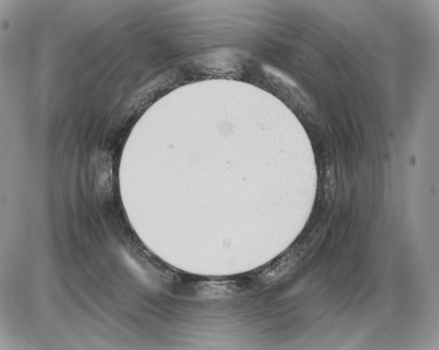 X0000086090320200704202222