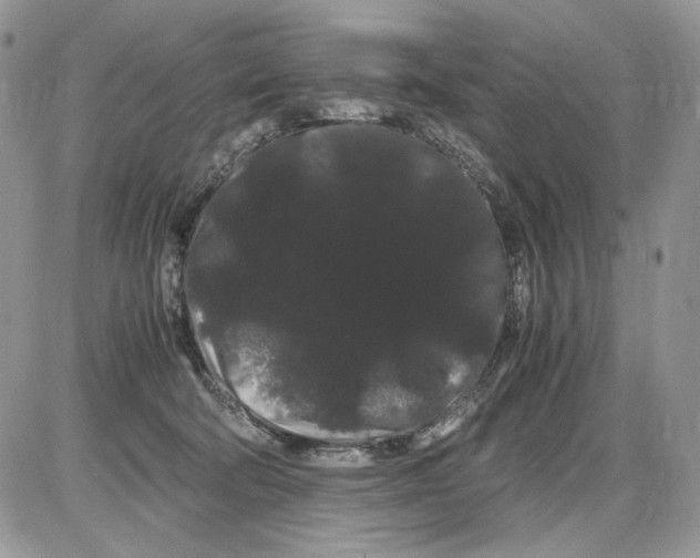 X0000086090322200704202222