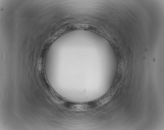 X0000086090323200704202222