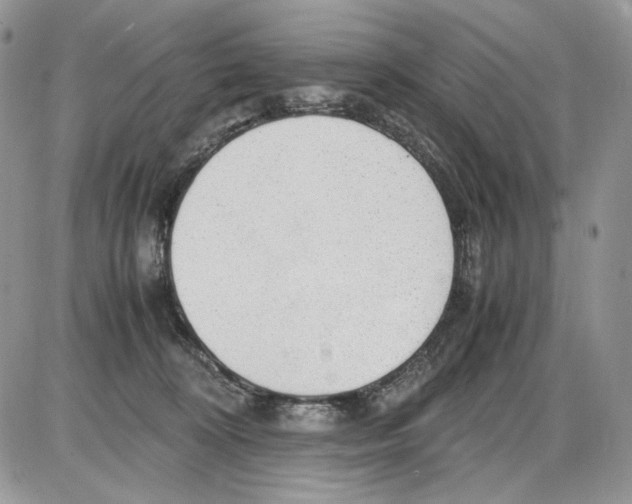 X0000086090324200704202222