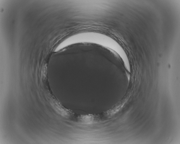 X0000086090325200704202222