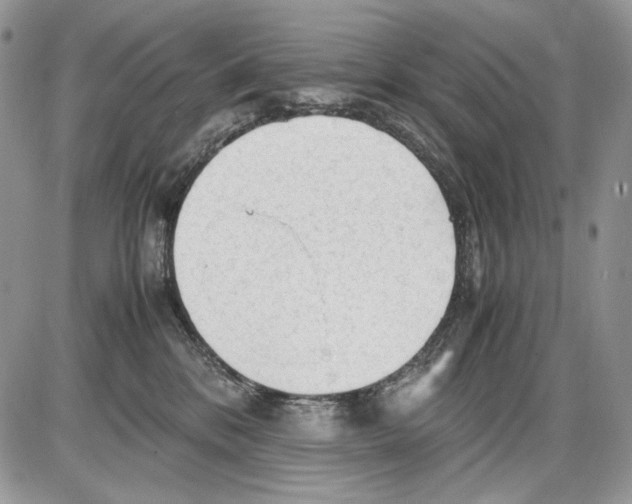 X0000086090328200704202222