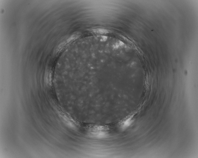 X0000086090330200704202222