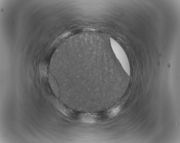 X0000086090331200704202222