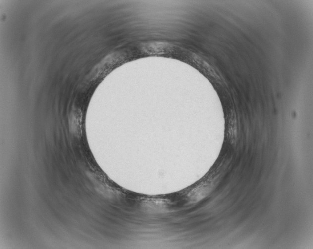 X0000086090332200704202222