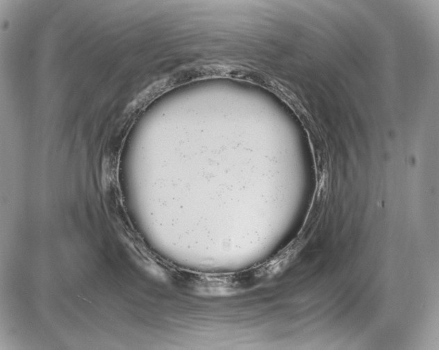 X0000086090335200704202222