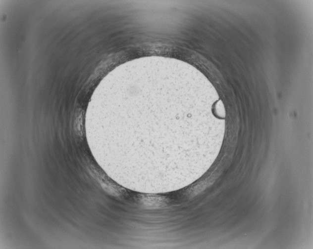 X0000086090336200704202222