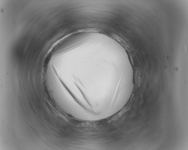 X0000086090338200704202221