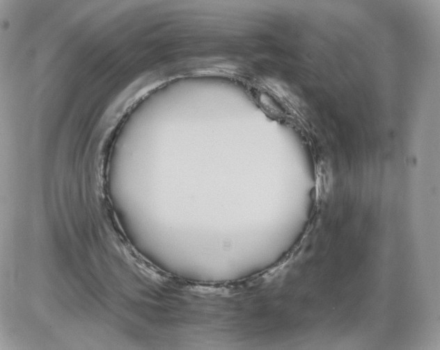 X0000086090339200704202221