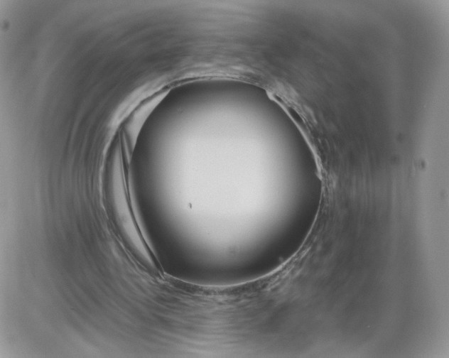 X0000086090340200704202221