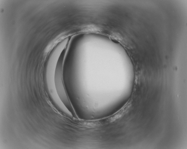 X0000086090341200704202221