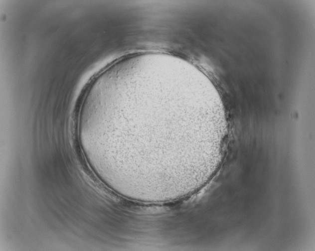 X0000086090342200704202221