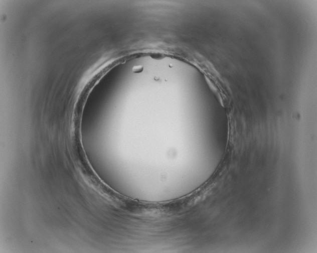 X0000086090344200704202221