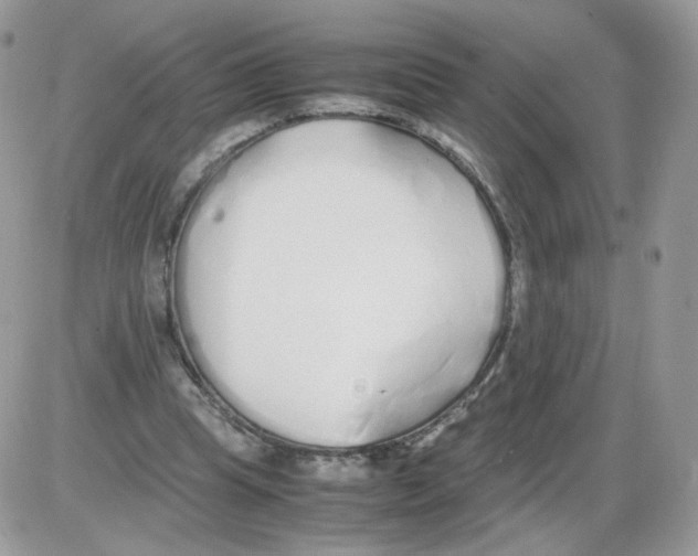 X0000086090345200704202221