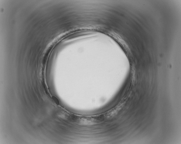 X0000086090346200704202221