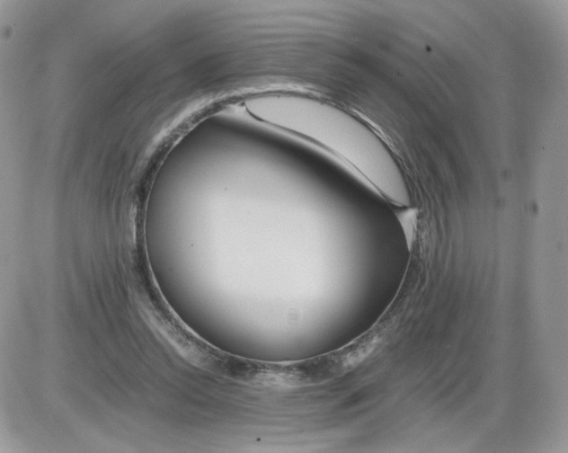 X0000086090350200704202222