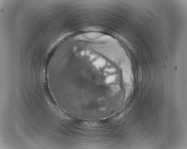 X0000086090351200704202222