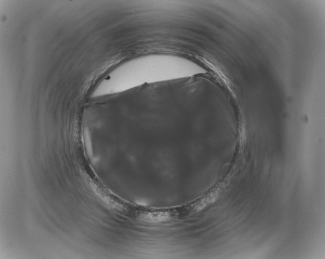 X0000086090353200704202222