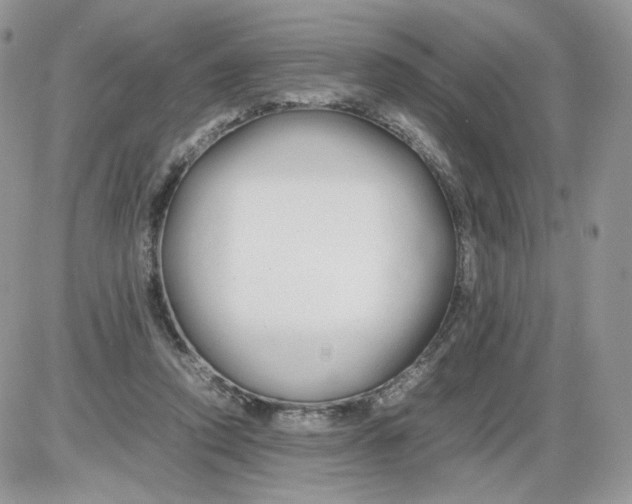 X0000086090354200704202222