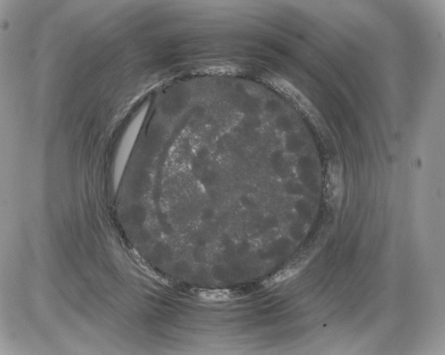 X0000086090355200704202222