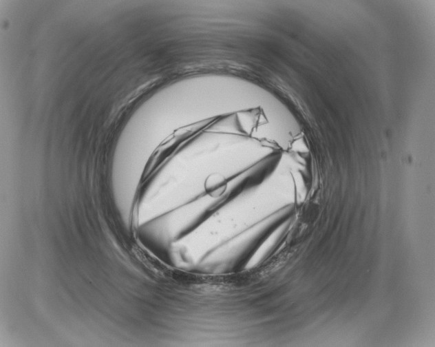 X0000086090356200704202222