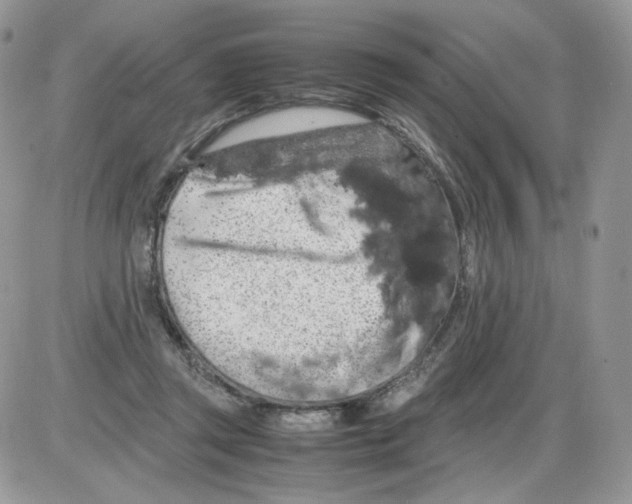 X0000086090357200704202222