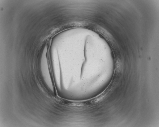 X0000086090358200704202222